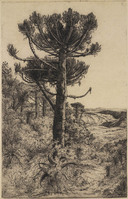 KG 18125
<br/>
Landschap met nosdoorn bij Bosmansrivier, Zuid-Afrika
<br/>
<em>Nachenius, Jan Coenraad (1890-1987)</em>